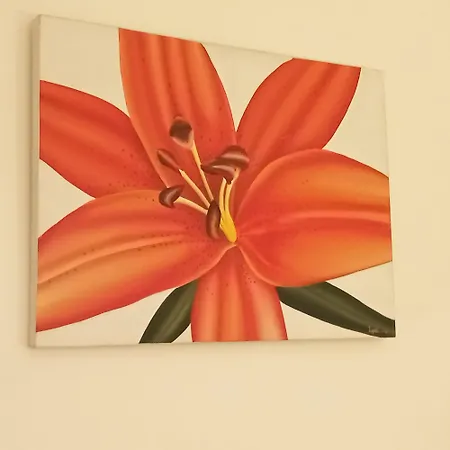 Appartement Croisette Sainte-Maxime Buitenkant foto